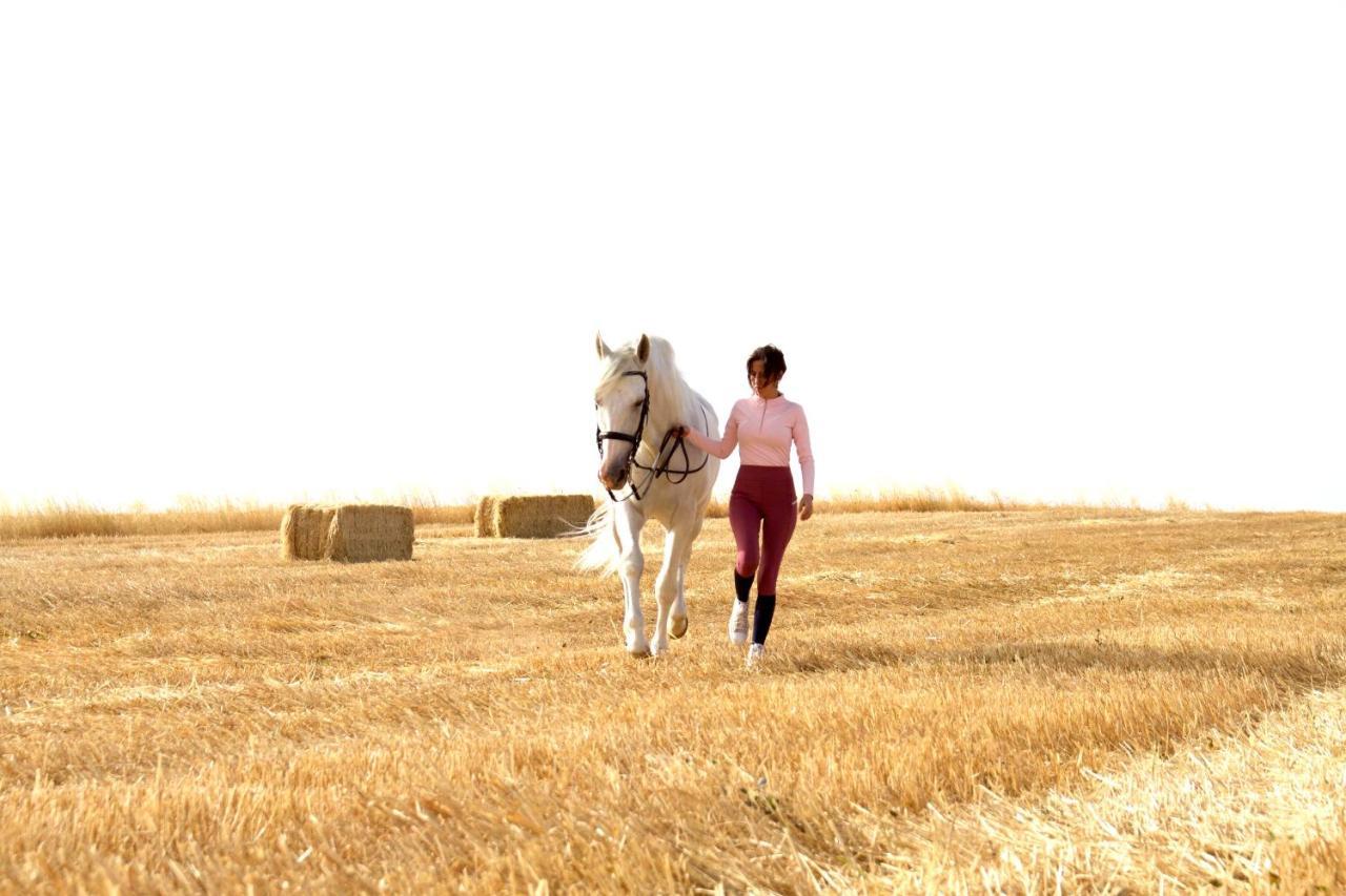 Hinojosa del Duque La Jara Casa Rural 게스트하우스 외부 사진